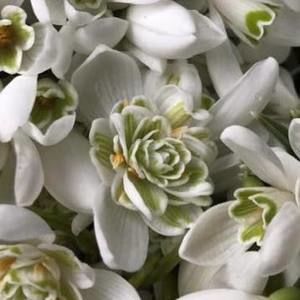 Meet your Posher, Inguna